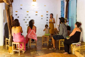 Masterclass sur les abeilles sauvages à Barichara, Colombie