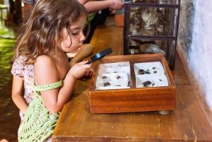 Masterclass sur les abeilles sauvages à Barichara, Colombie