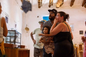 Masterclass sur les abeilles sauvages à Barichara, Colombie