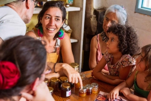 Masterclass sur les abeilles sauvages à Barichara, Colombie