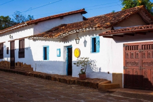 Masterclass sur les abeilles sauvages à Barichara, Colombie