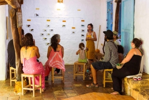 Wild Bees Masterclass i Barichara, Colombia