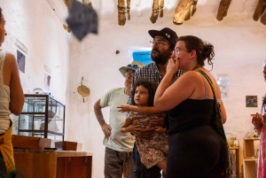 Wild Bees Masterclass i Barichara, Colombia