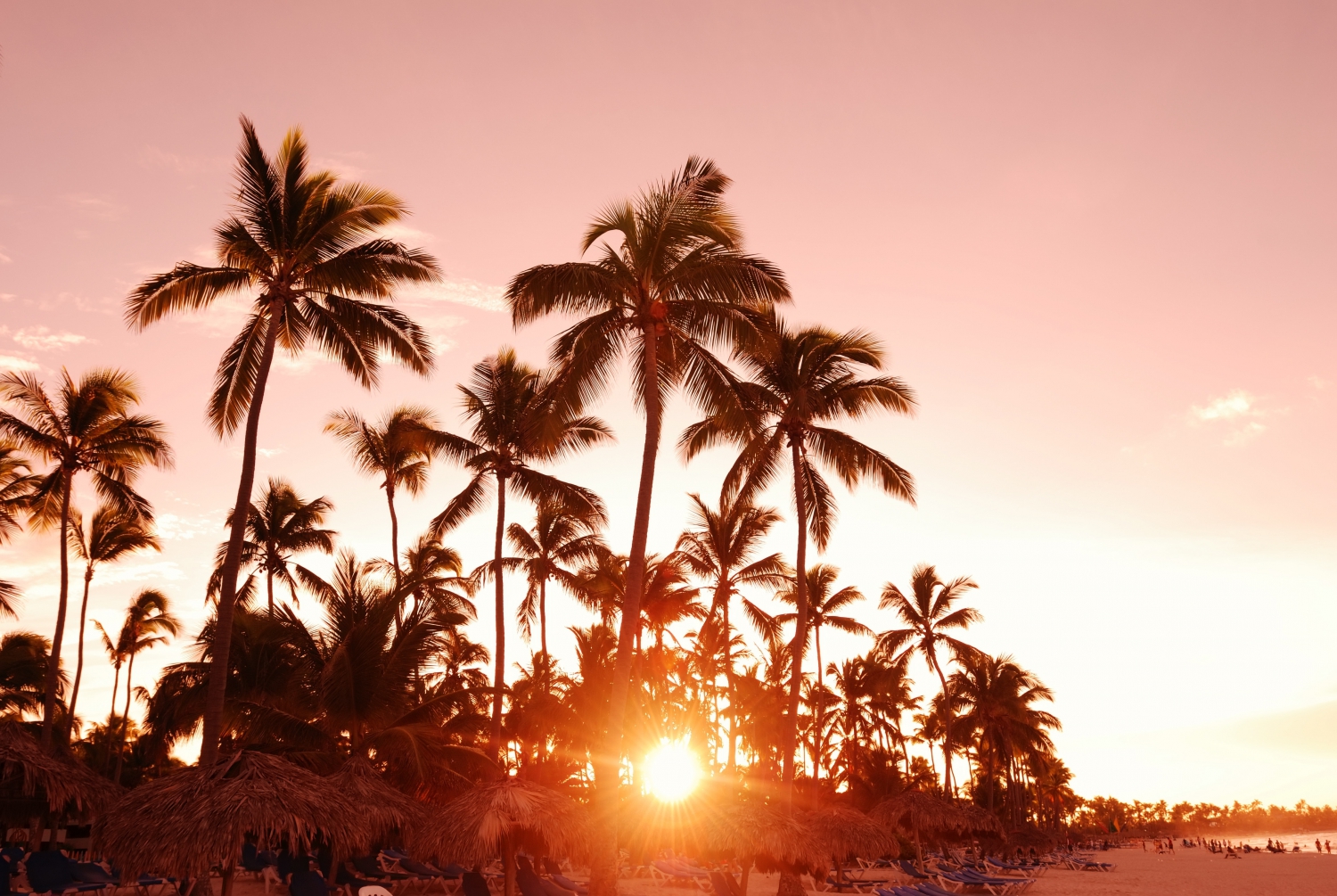 FAQs about Marbella