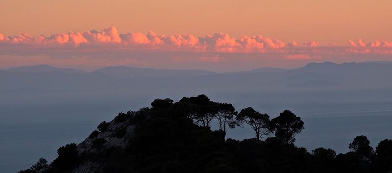 february-weather-in-marbella