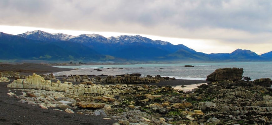 Kaikoura My Guide Christchurch