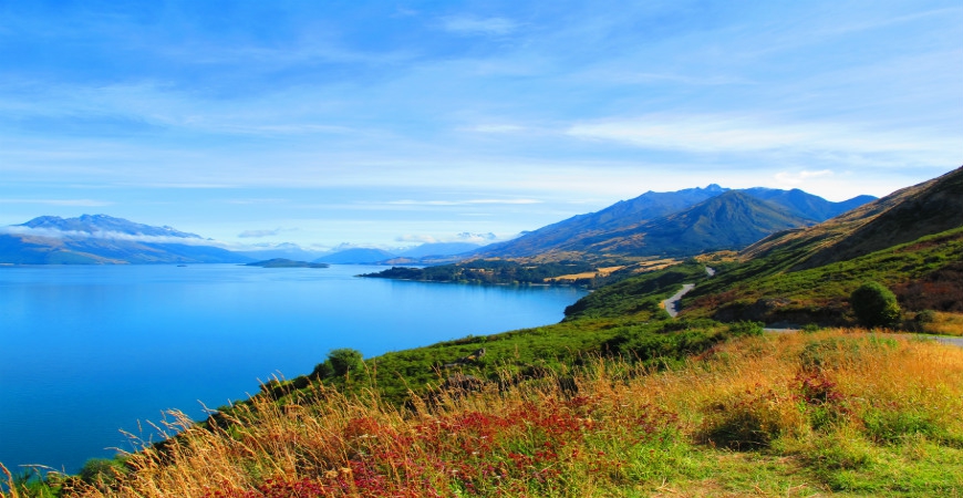 New Zealand Area Codes