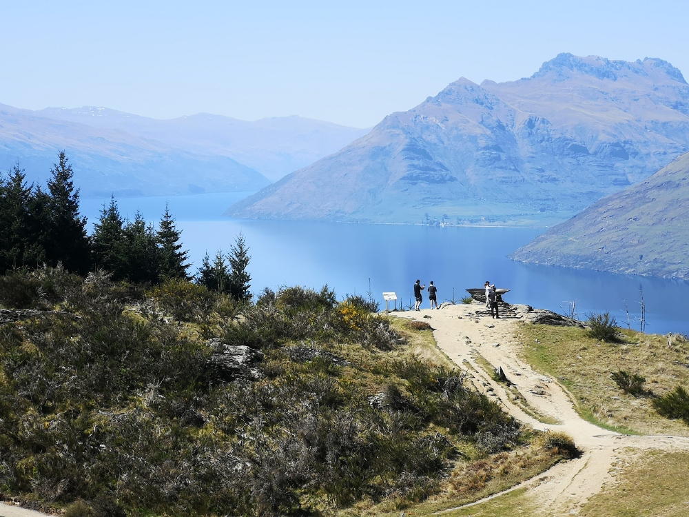 Bobs Cove Track, an easy short trail with stunning views •