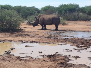 Accommodation in the Omaheke Region