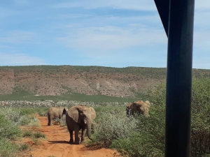 Accommodation in the Omaheke Region