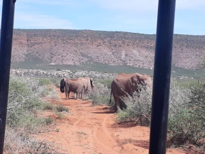 Accommodation in the Omaheke Region