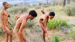 Accommodation in the Omaheke Region