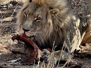 Accommodation in the Omaheke Region