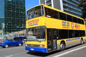 Auckland Buses