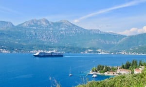 Viewpoint Above Rose Village