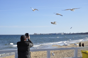 BRZEZNO BEACHES AND PIER GDANSK