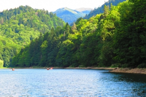 Biogradska Gora National Park