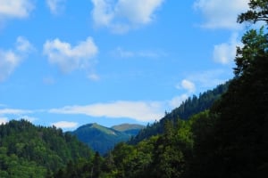 Biogradska Gora National Park