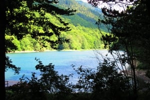 Biogradska Gora National Park