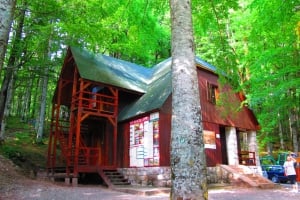 Biogradska Gora National Park