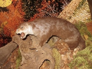 Biogradska Gora National Park