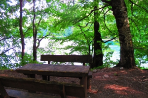 Biogradska Gora National Park