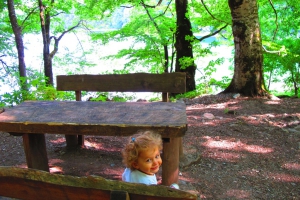 Biogradska Gora National Park