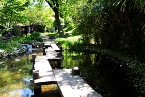 Botanical garden - Jevremovac