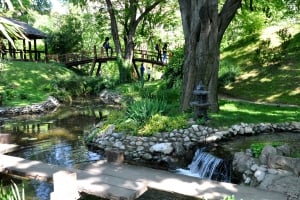 Botanical garden - Jevremovac