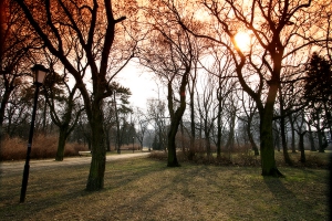 City Centre - Srodmiescie