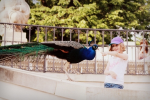 City Centre - Srodmiescie