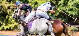 Clubs and Associations