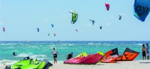 Clubs and Associations