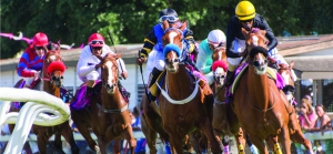 Clubs and Associations