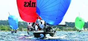 Clubs and Associations