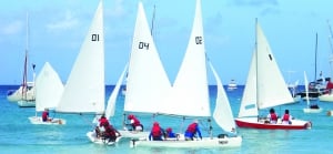 Clubs and Associations