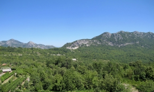 Crmnica - A Wine Region in Montenegro