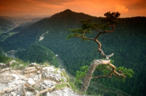 Destinations in the Region