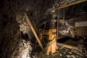 Destinations in the Region