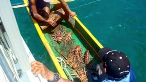 Food & Drink in Panama