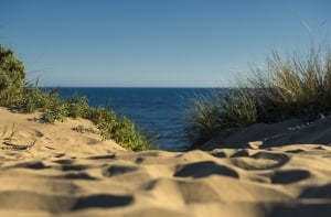 June Weather in Marbella