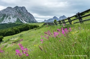 Komovi Mountain