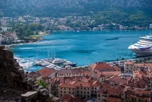 Kotor