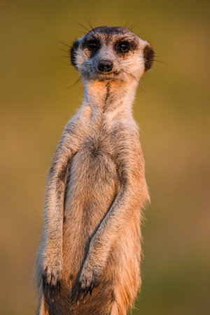 Makgadikgadi Pans National Park