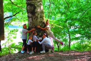 Virgin Forest in Biogradska Gora National Park