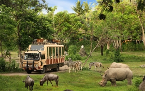 Bali Marine and Safari Park