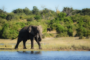 Photos of Botswana