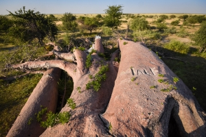 Photos of Botswana