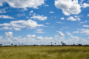 Photos of Botswana