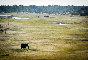 Photos of Botswana